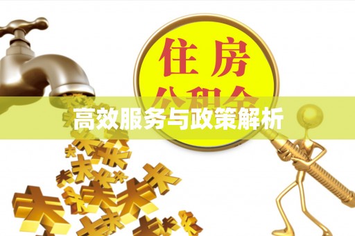 通州高效服务与政策解析