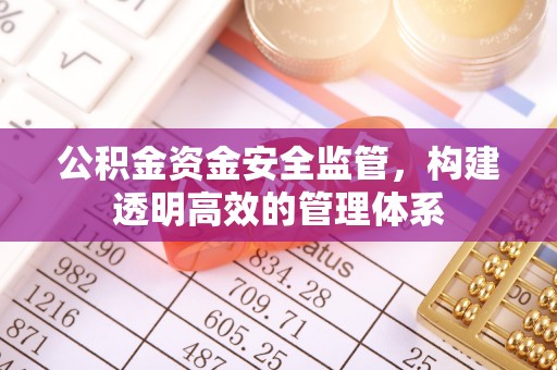 通州公积金资金安全监管，构建透明高效的管理体系