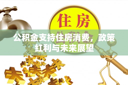 通州公积金支持住房消费，政策红利与未来展望